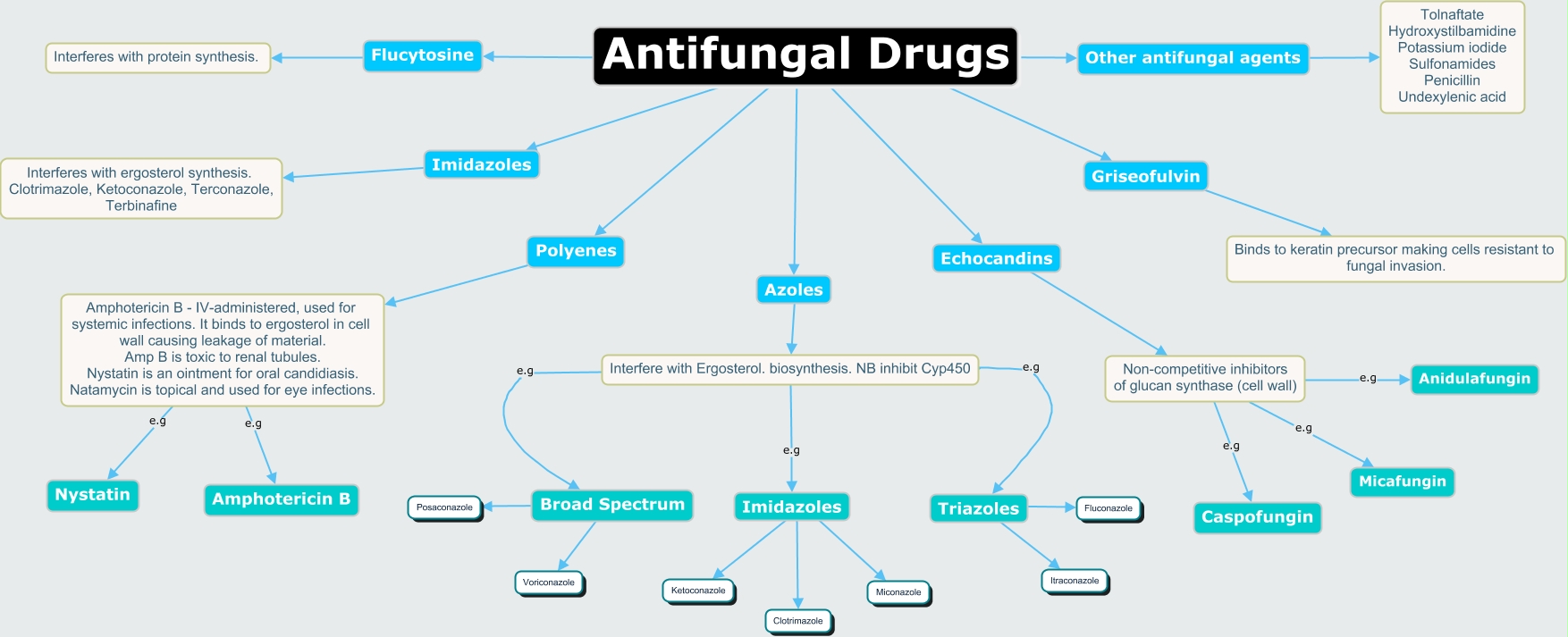 Antifungal Drugs